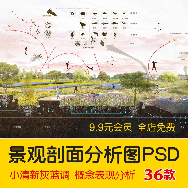 园林景观蓝灰调小清新断面图立面剖面分析图psd高清分层概念表现