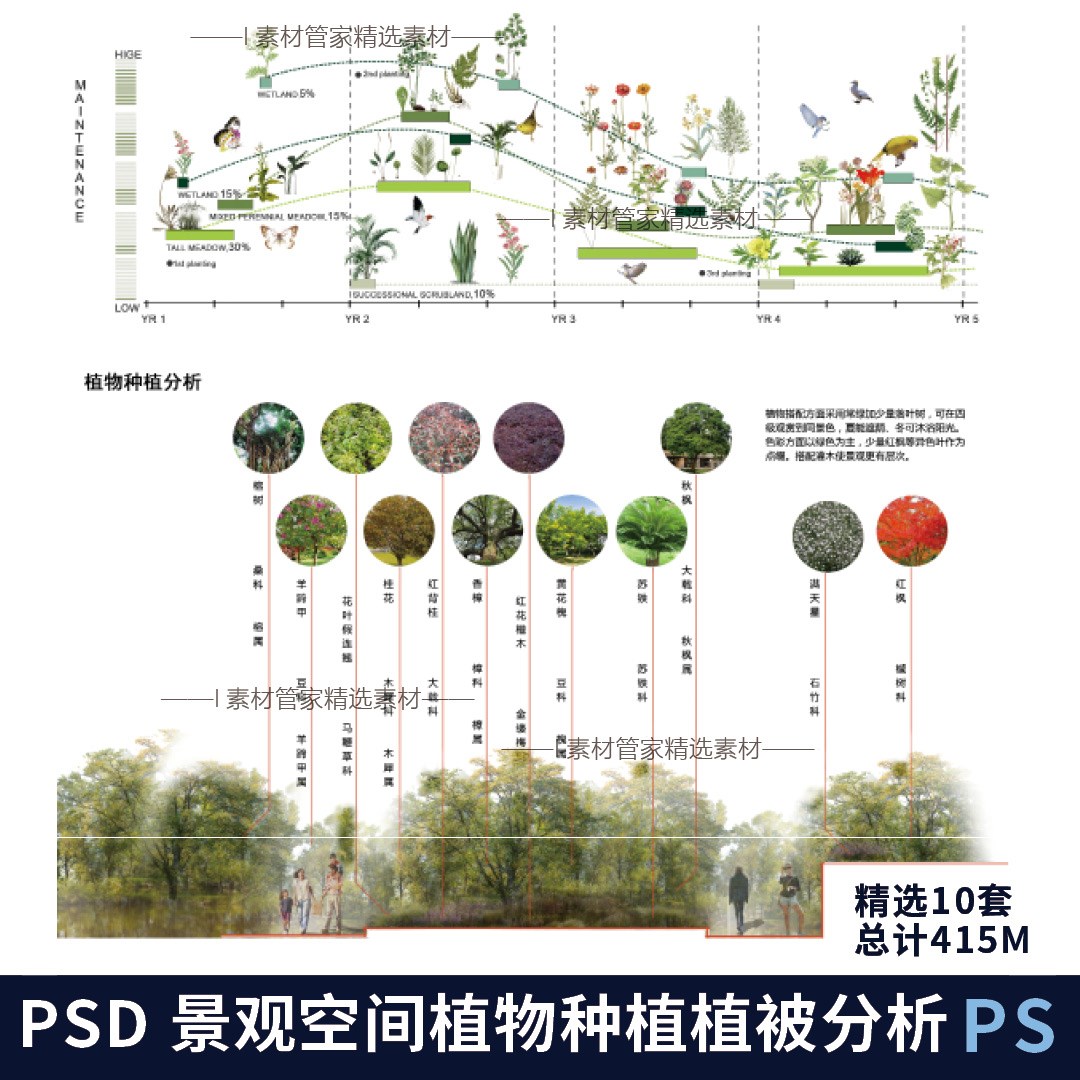 竞赛风植物配景前期分析景观园林设计策略植物植被PS文件PSD分层