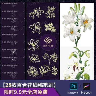 procreate笔刷合集IPAD绘画百合花线稿花朵国画花丛国ps笔刷素材