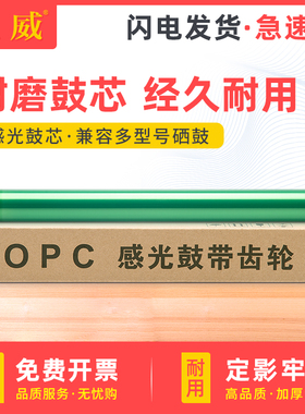 适用奔图P3301DN P3302DN鼓芯PANTUM M6768DW M7170DW P3380DN M7180DN打印机鼓架DL463 DL470 DL480感光鼓芯