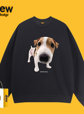 Drew美式潮牌恶搞可爱小狗印花圆领卫衣男女休闲百搭情侣秋冬上衣