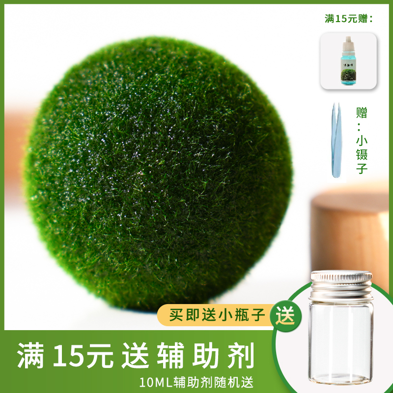 幸福海藻球微景观生态瓶水培diy