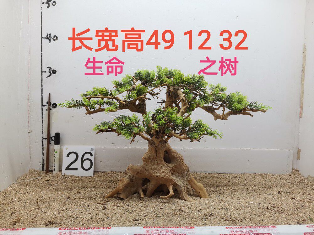 树型莫斯树杜鹃根沉木造景泰国枝造景枝条草缸素材迎客松一木成景