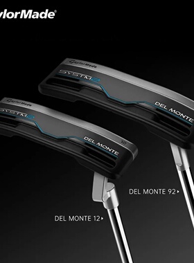 正品TaylorMade泰勒梅高尔夫推杆SYSTM2刀背锤头型稳定男女士球杆