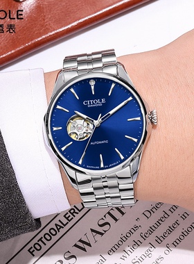 西腾全自动进口机械机芯时尚真钻镂摆夜光指针男款表9123