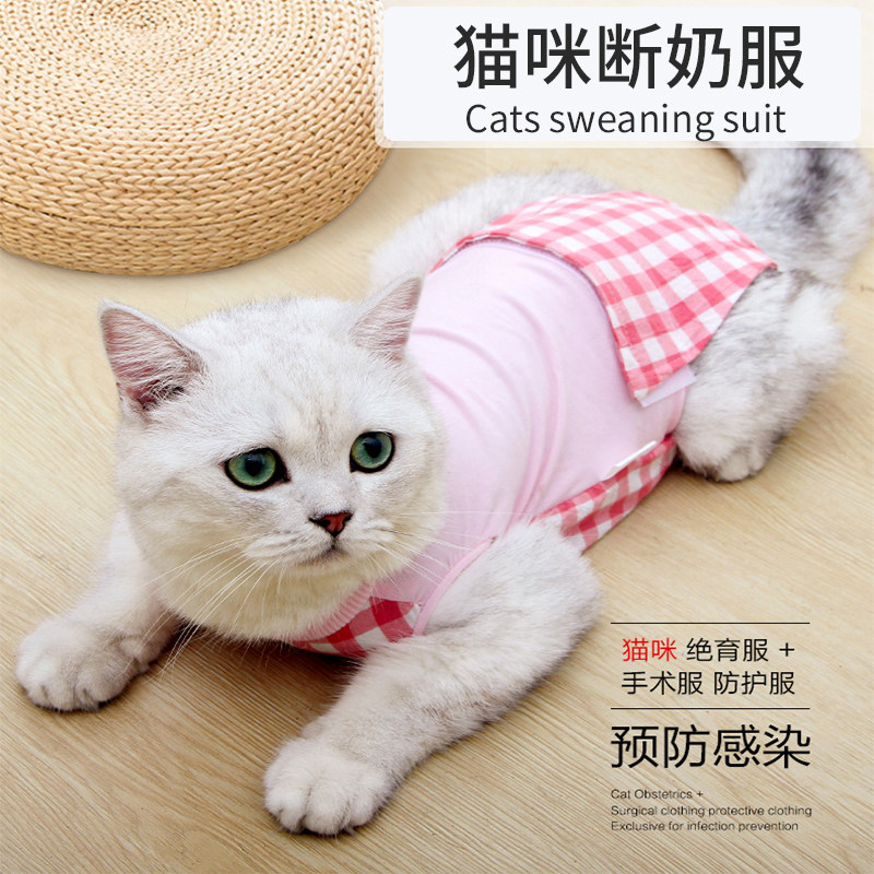 猫咪断奶服母猫绝育服防挣脱夏季透气术后薄款防舔咬猫咪手术衣服