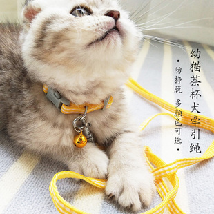 猫咪牵引绳幼猫犬工字胸背带脖圈栓猫绳防挣脱猫狗链子加长遛猫绳