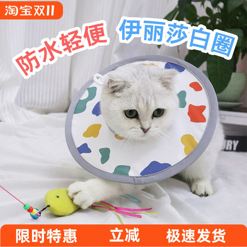 宠物伊丽莎白圈猫咪狗狗小兔子项圈防舔咬围脖脖圈耻辱圈宠物头套