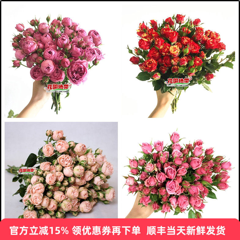 多色家庭办公室蔷薇礼物顺丰鲜花