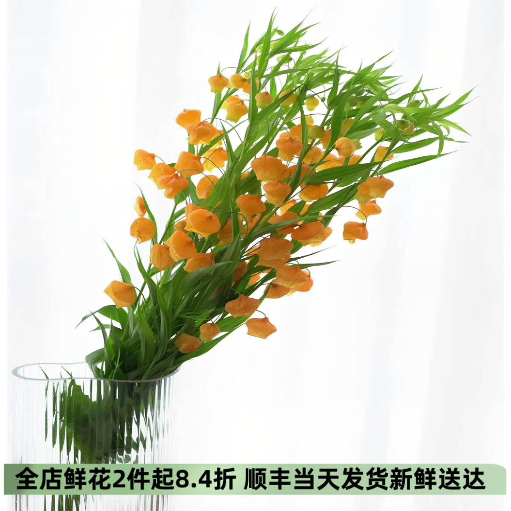 北京同城速递进口宫灯百合鲜切花
