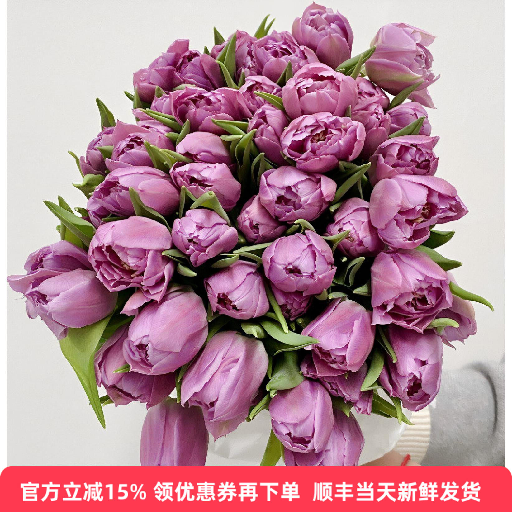 进口薰衣草紫重瓣郁金香同城速递