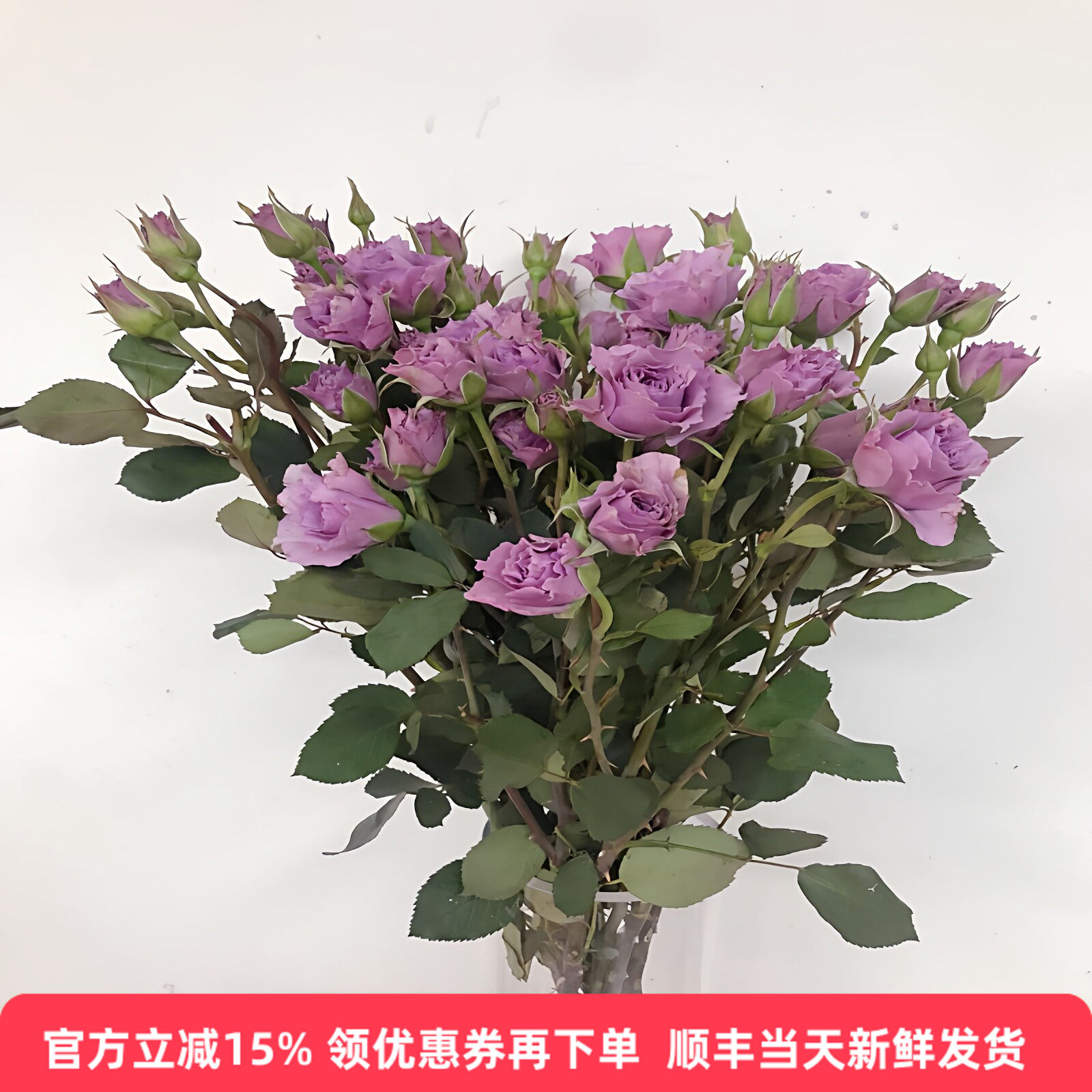 蜻蜓多头玫瑰鲜切花北京同城送礼