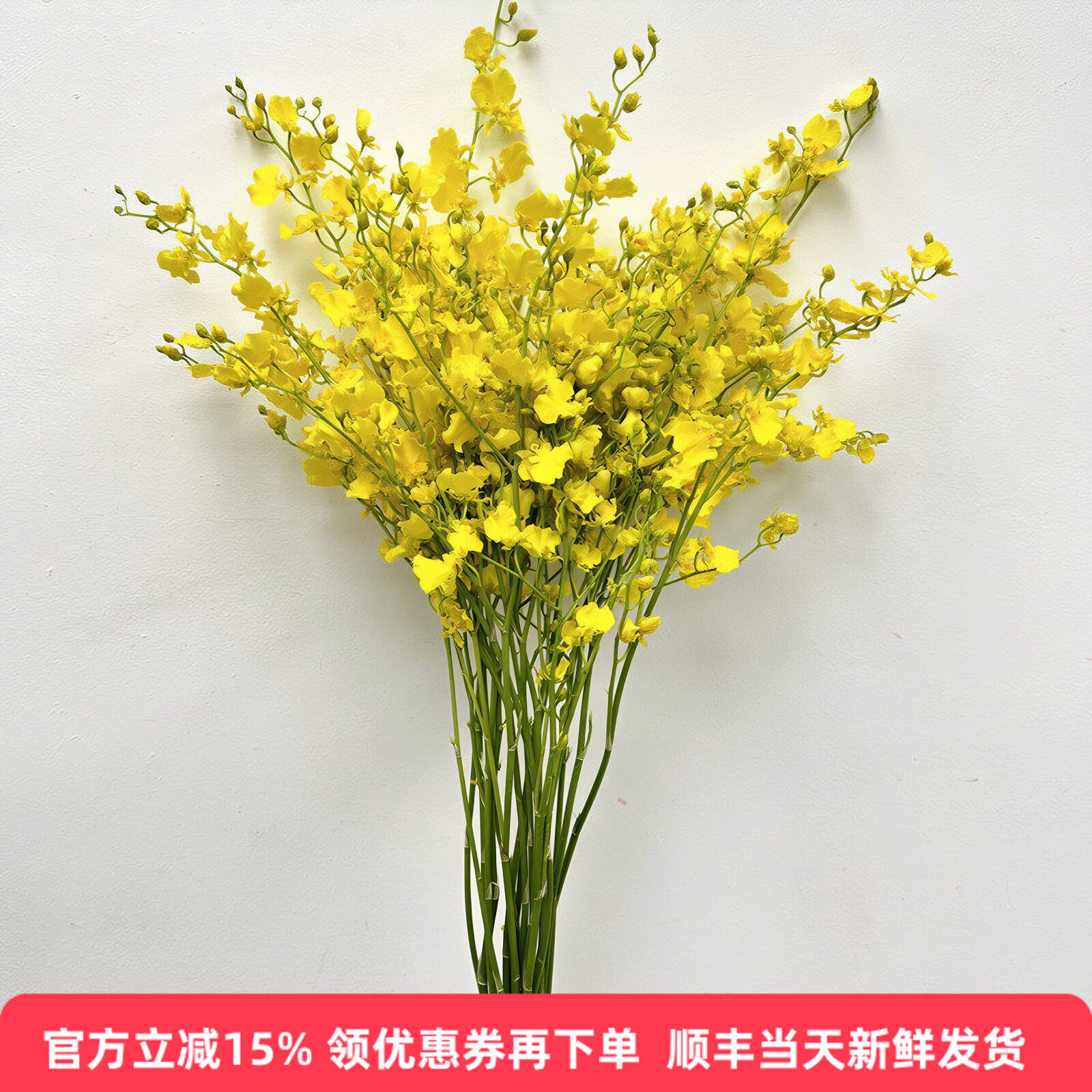 柠檬跳舞兰鲜切花同城速递文心兰