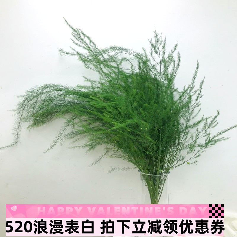 芦荀草鲜切水培花婚礼生日布置插花江浙沪同城鲜花速递顺丰发全国