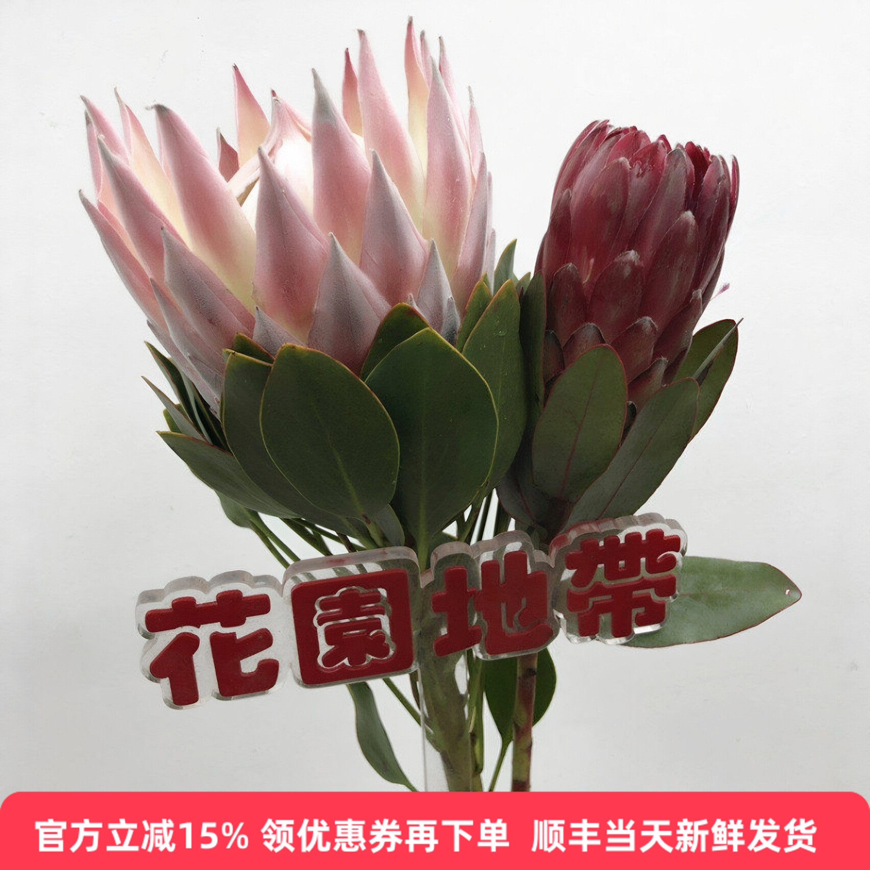 帝王公主水培花艺插花同城配送