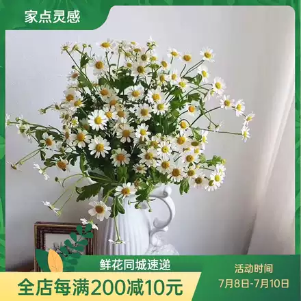 阳光青春少女粉色拉丝非洲菊扶郎花生日爱情礼物同城鲜花速递