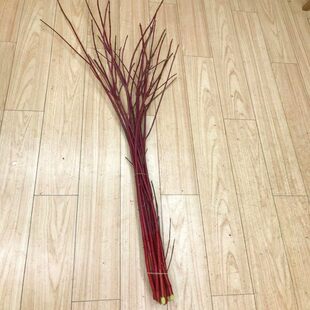 红木枝国产红柳鲜切水养装饰插花圣诞节造型花材新年花卉鲜花速递