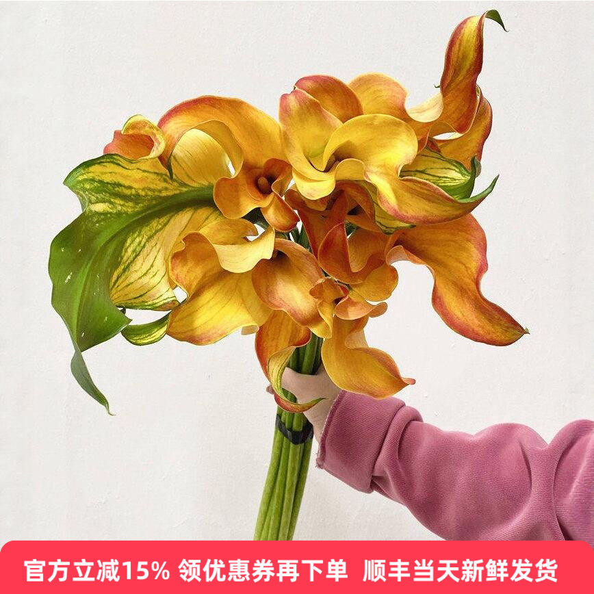 丽江马蹄莲水培花束同城速递鲜花