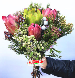 南非公主帝王花束鲜花混搭随机杂果捧花可风干装饰家居瓶插花同城