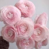 樱花粉洋牡丹鲜花巨型大花朵高山雪多层花瓣水养生日礼物同城速递