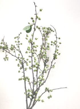 海棠果木本鲜切枝花期长同城速递