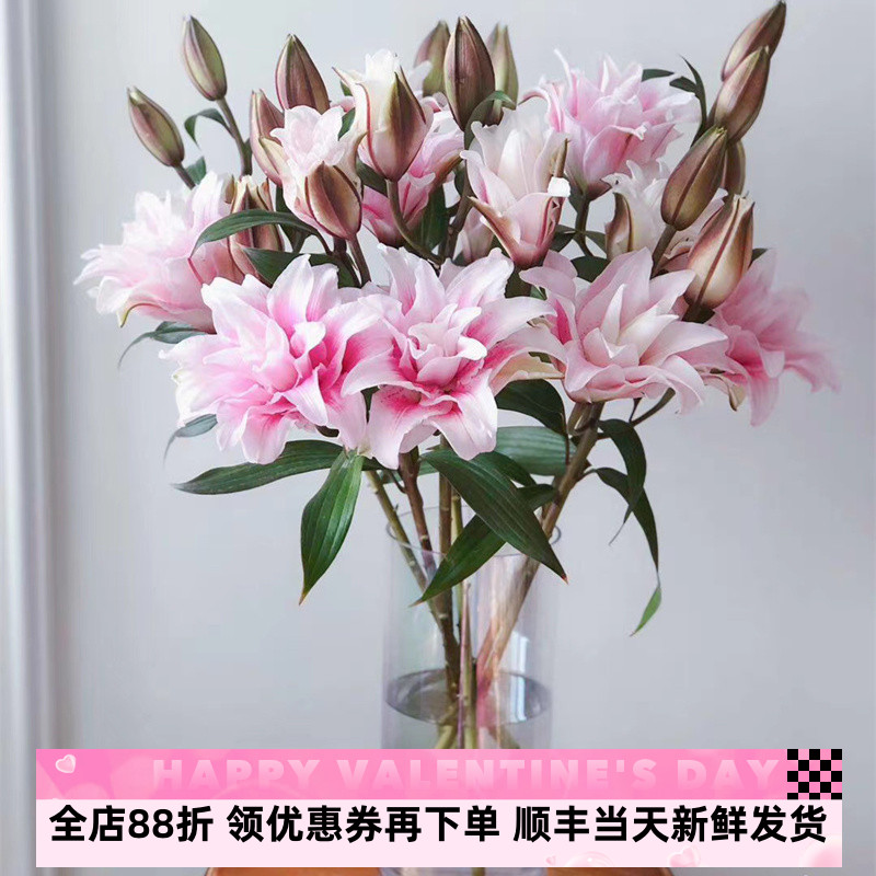 层层爱粉重瓣百合超长家庭办公室