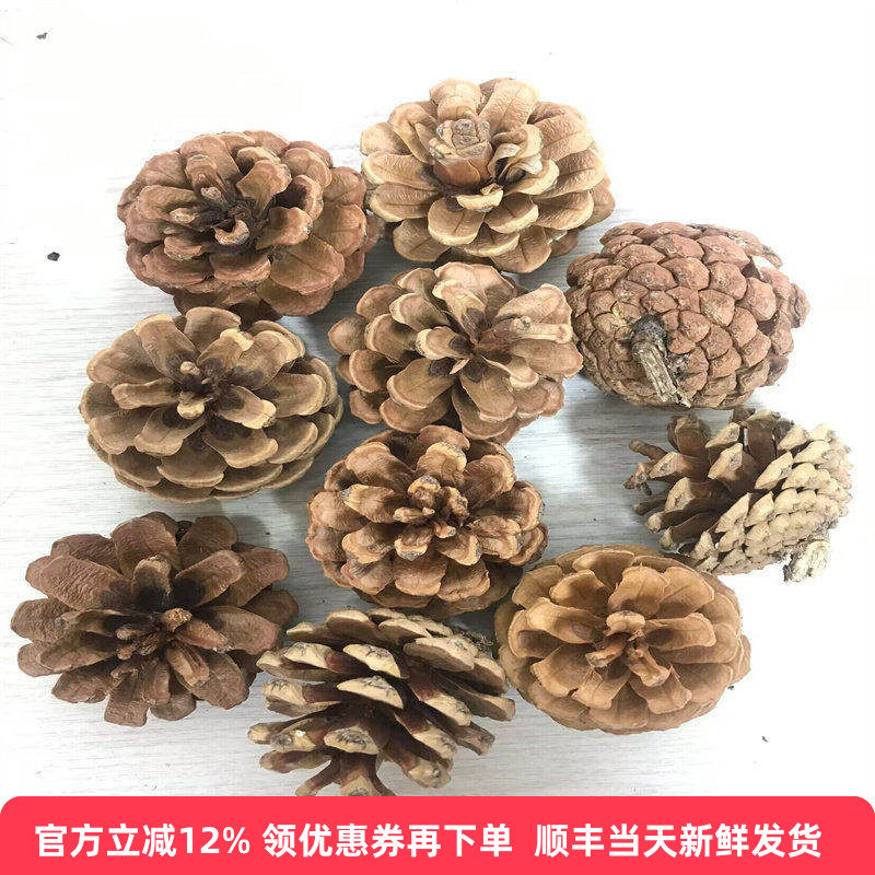 松果圣诞节装饰松塔干花万圣节南瓜平安夜圣诞树搭配北京鲜花速递