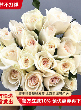 A级白荔枝玫瑰花 全开花型有香味水养生日爱情礼物情人节鲜花速递