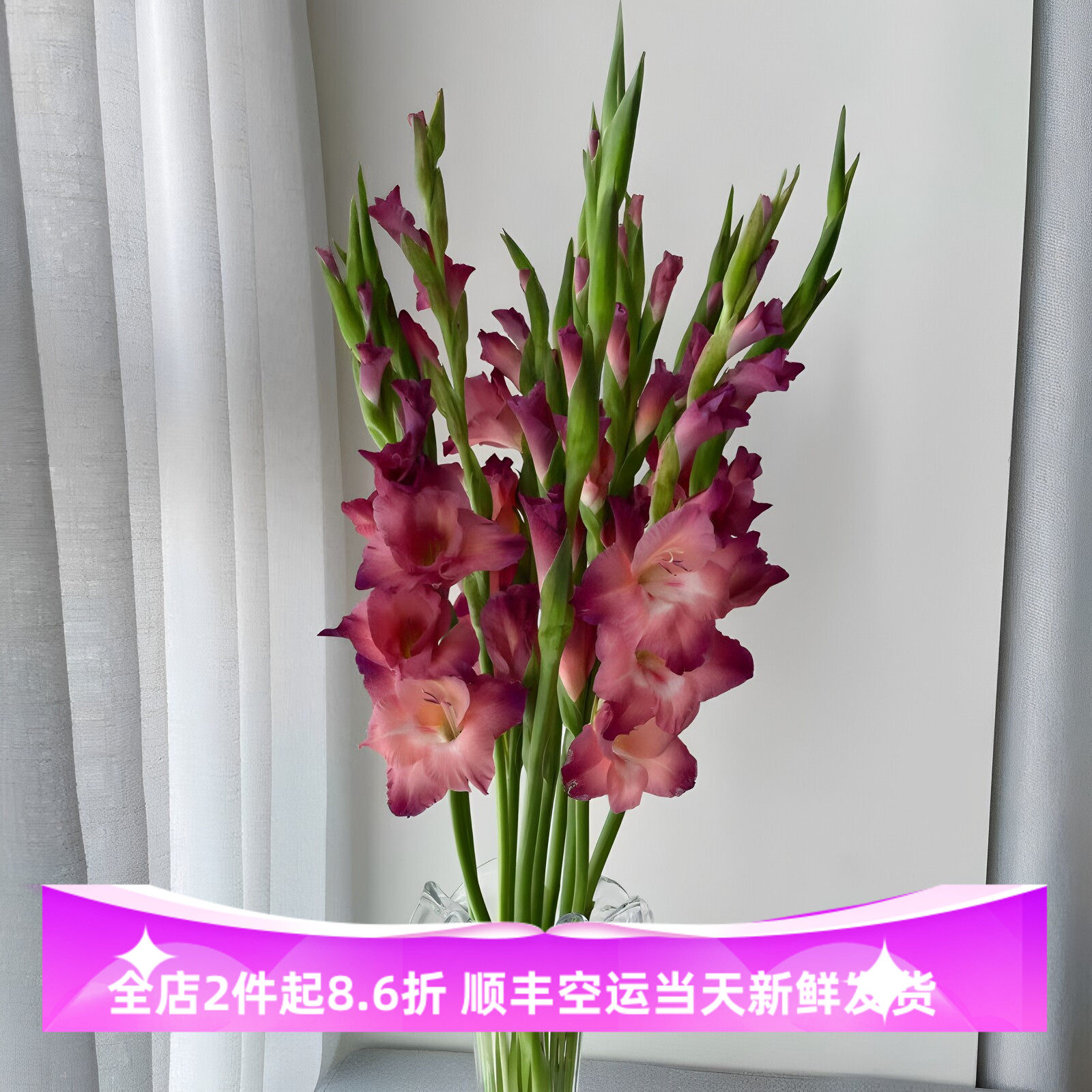 复古咖啡色剑兰鲜花印第安水培插花家居装饰百搭花材生日礼物花束