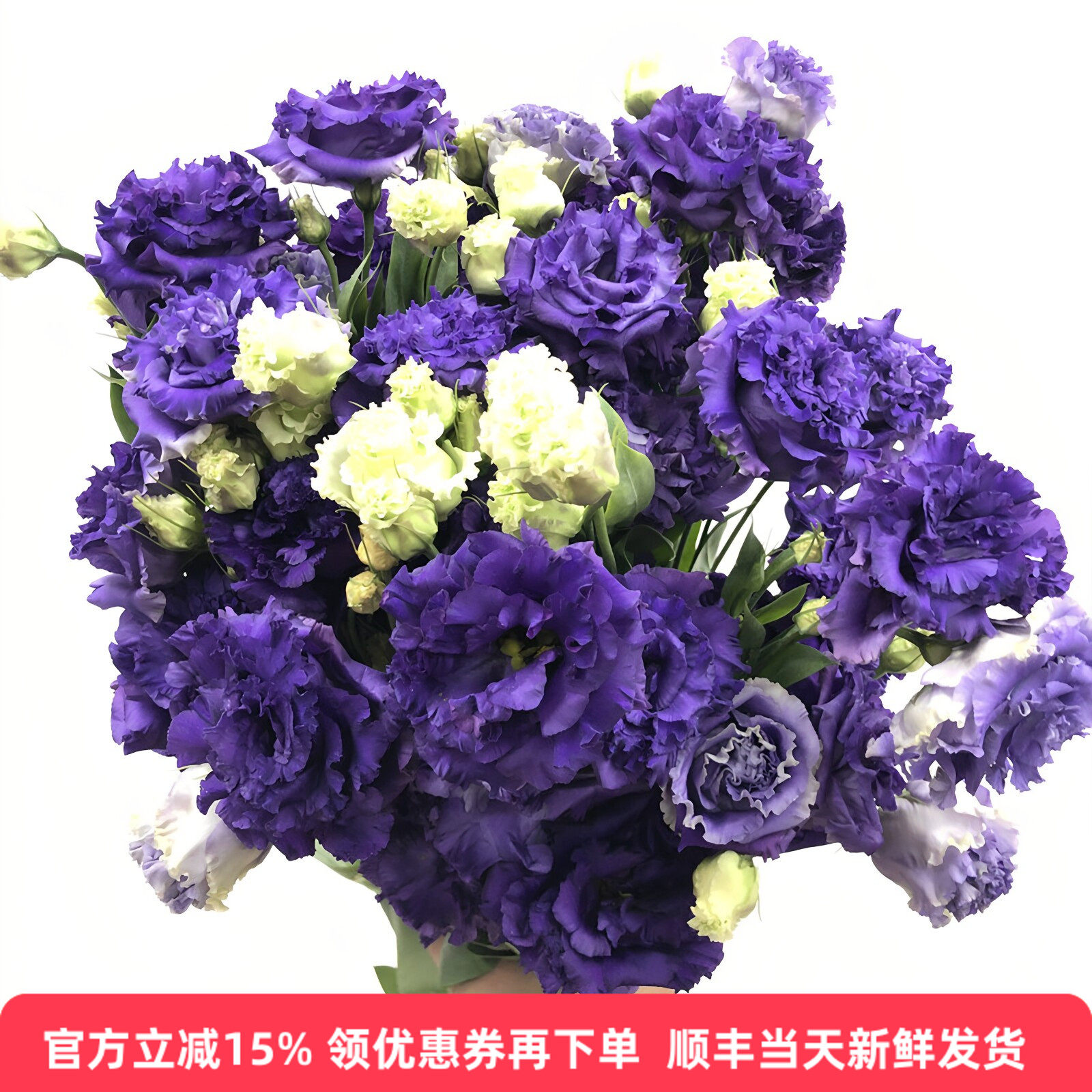 深紫波浪龙胆洋桔梗北京同城速递