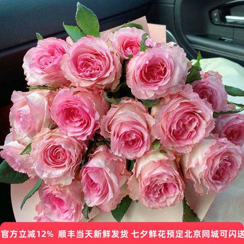 稀有伯爵玫瑰洛神微光暖玉切花