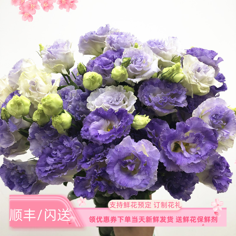 烟紫色龙胆洋桔梗鲜花 高端国产A级品质水培花艺插花生日礼物速递
