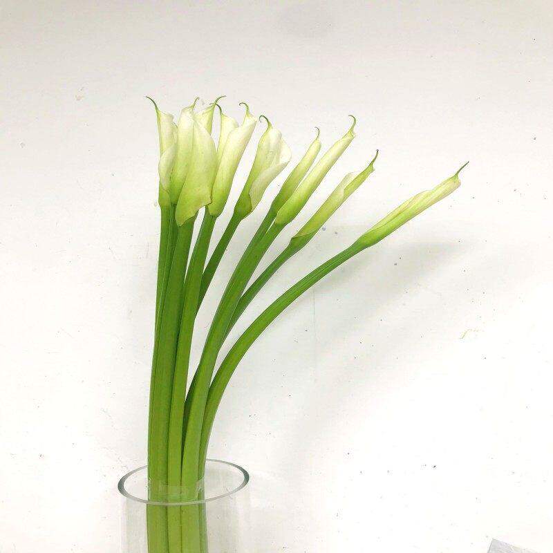 马蹄莲鲜花水养插花造型花艺新娘手捧花江苏上海广州顺丰同城速递
