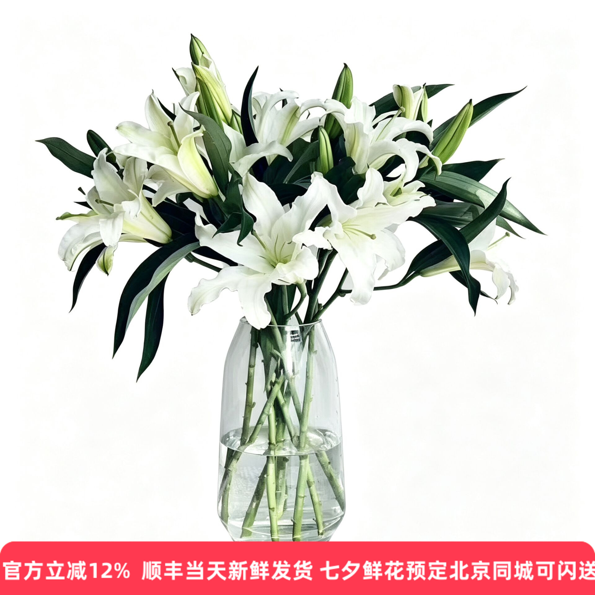 东北凌源西伯利亚百合花浓香多