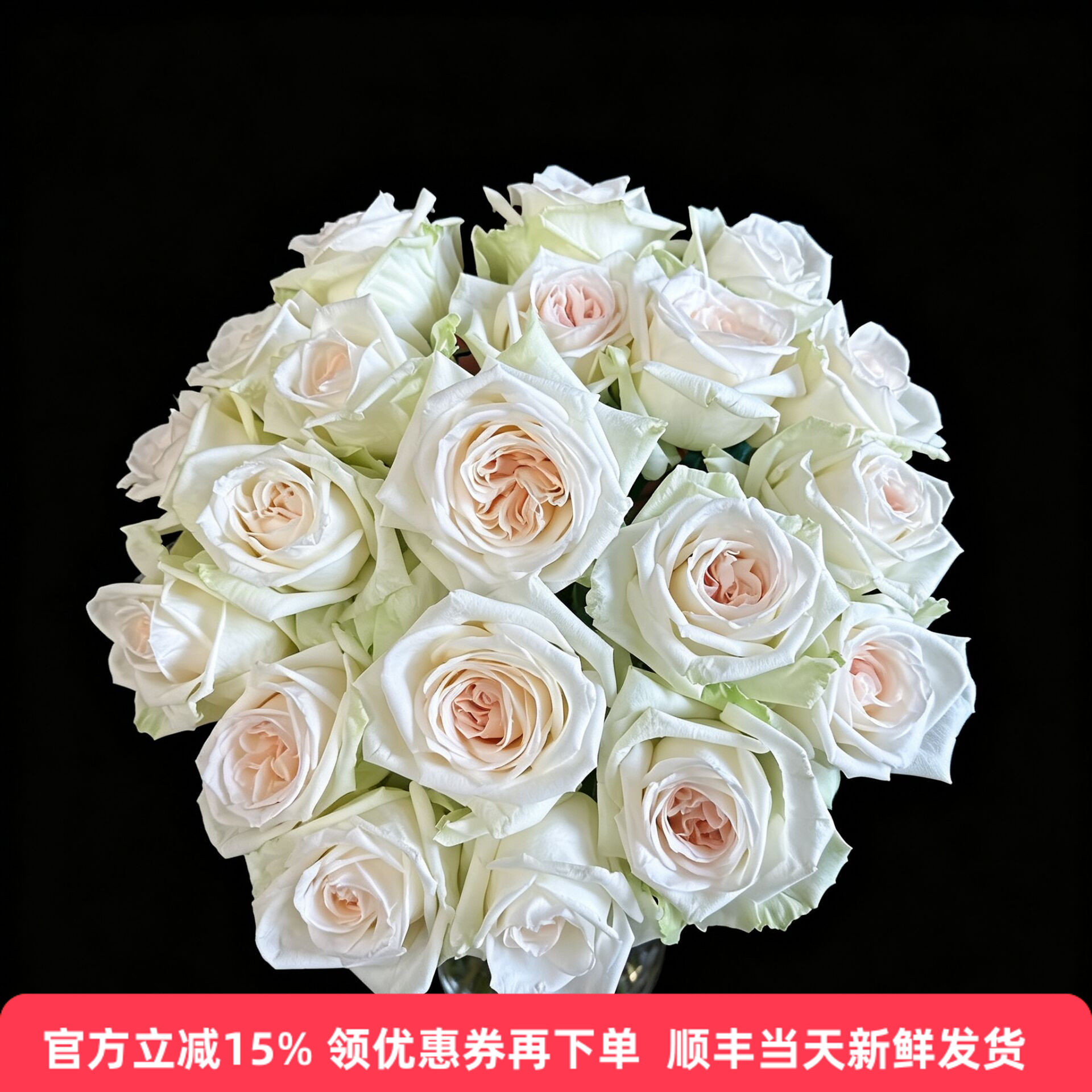 A级白荔枝玫瑰花有香味鲜花同城