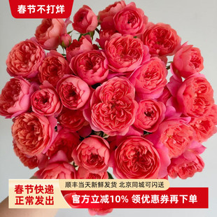 引进种植蔷薇花绝色果汁多头玫瑰花水养插花生日礼物花束北京同城