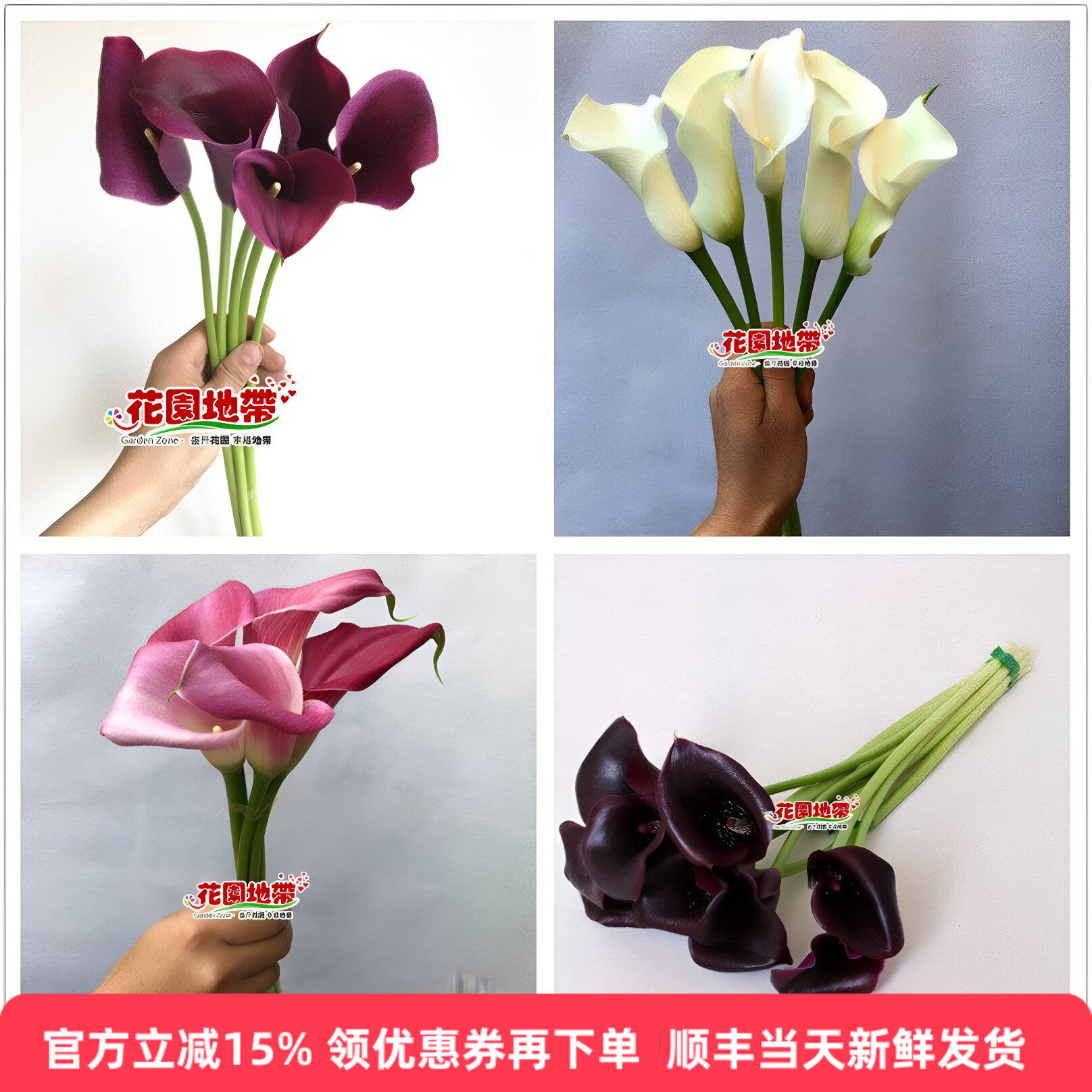 DIY婚礼海芋多色马蹄莲鲜花市场