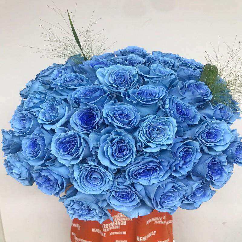厄瓜多尔玫瑰冰雪公主蓝玫瑰花室内水养花情人节生日鲜花同城速递