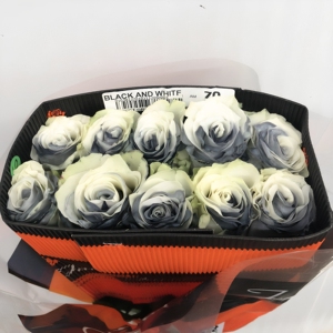 厄瓜多尔灰色天空玫瑰花束速递