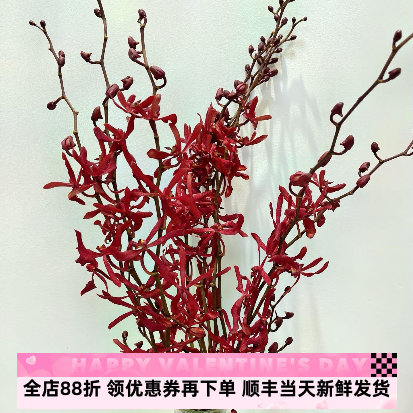 进口万代新鲜婚礼艺术家兰花同城