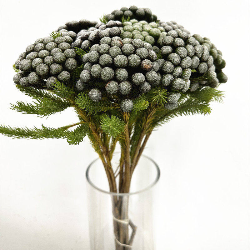 染色干花珊瑚果花卉永生花装饰家居生活插花生日礼物北京同城速递