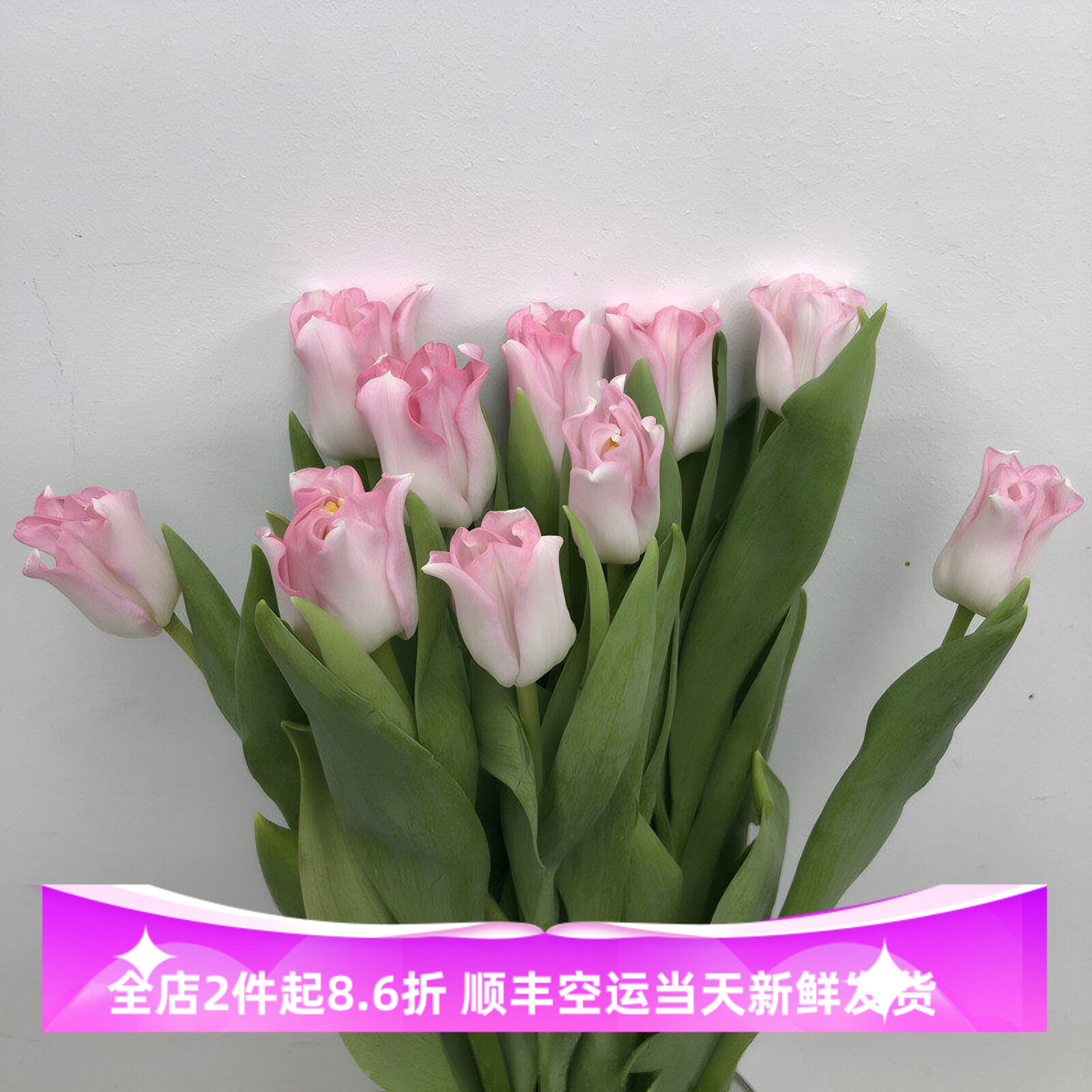粉风铃贝尔郁金香鲜花高雅花艺
