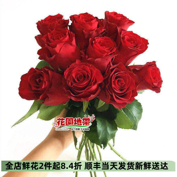 进口红玫瑰鲜切花束北京同城速递