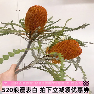 南非进口佛塔花期长班克木家庭展厅艺术装 饰干花顺丰全国鲜花速递