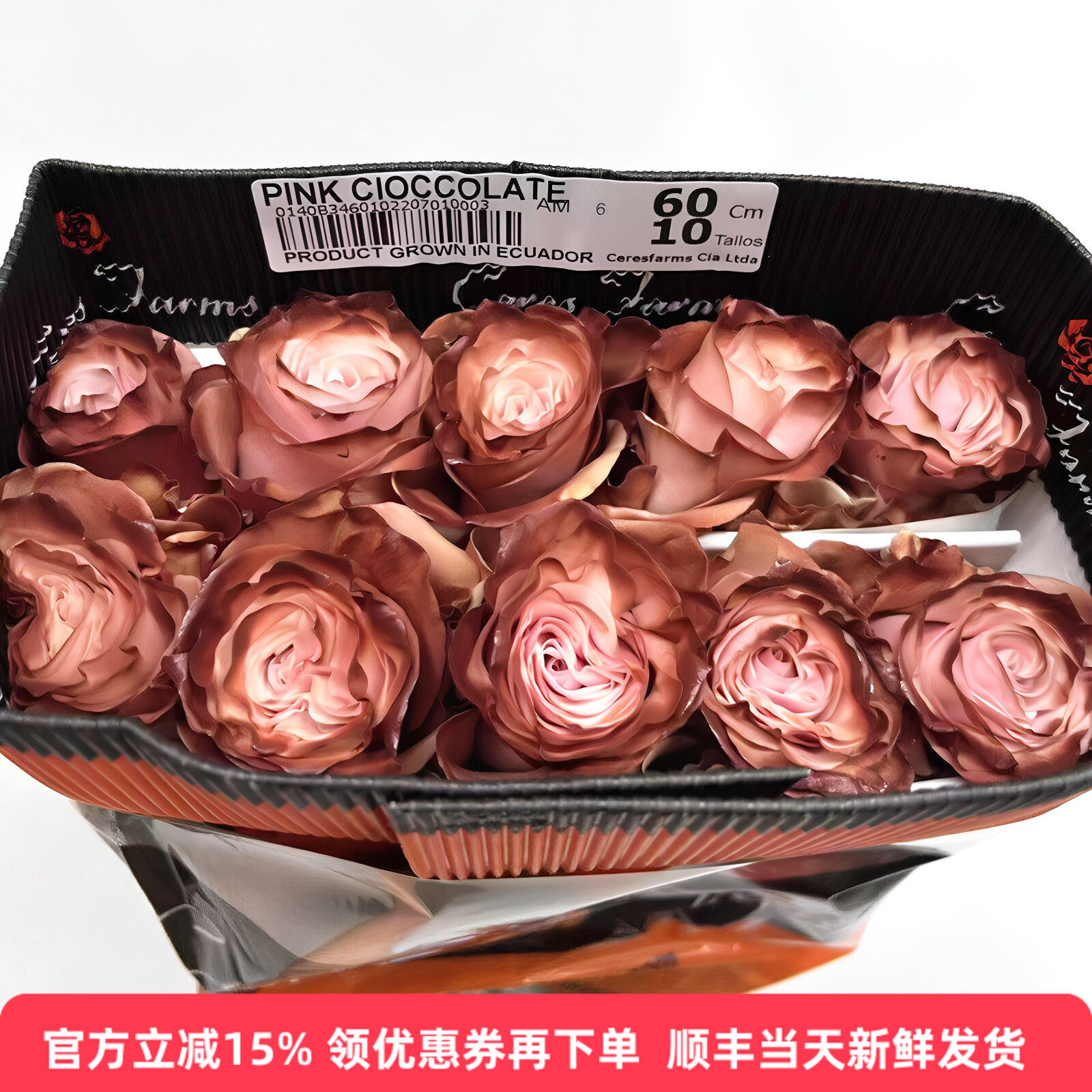 厄瓜多尔进口染色大玫瑰鲜切花