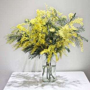 金合欢金色秋季黄榕球木本鲜切花圣诞节生活家居插花同城鲜花速递