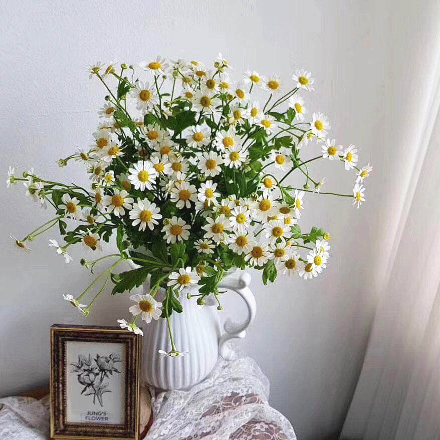洋甘菊鲜花水培麦秆轻奢艺术插花