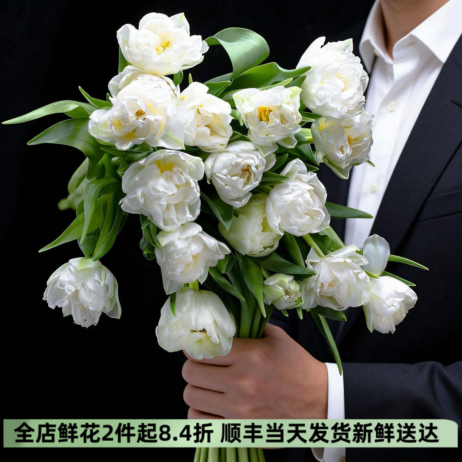 重瓣郁金香雪媚娘品种全绽放同城