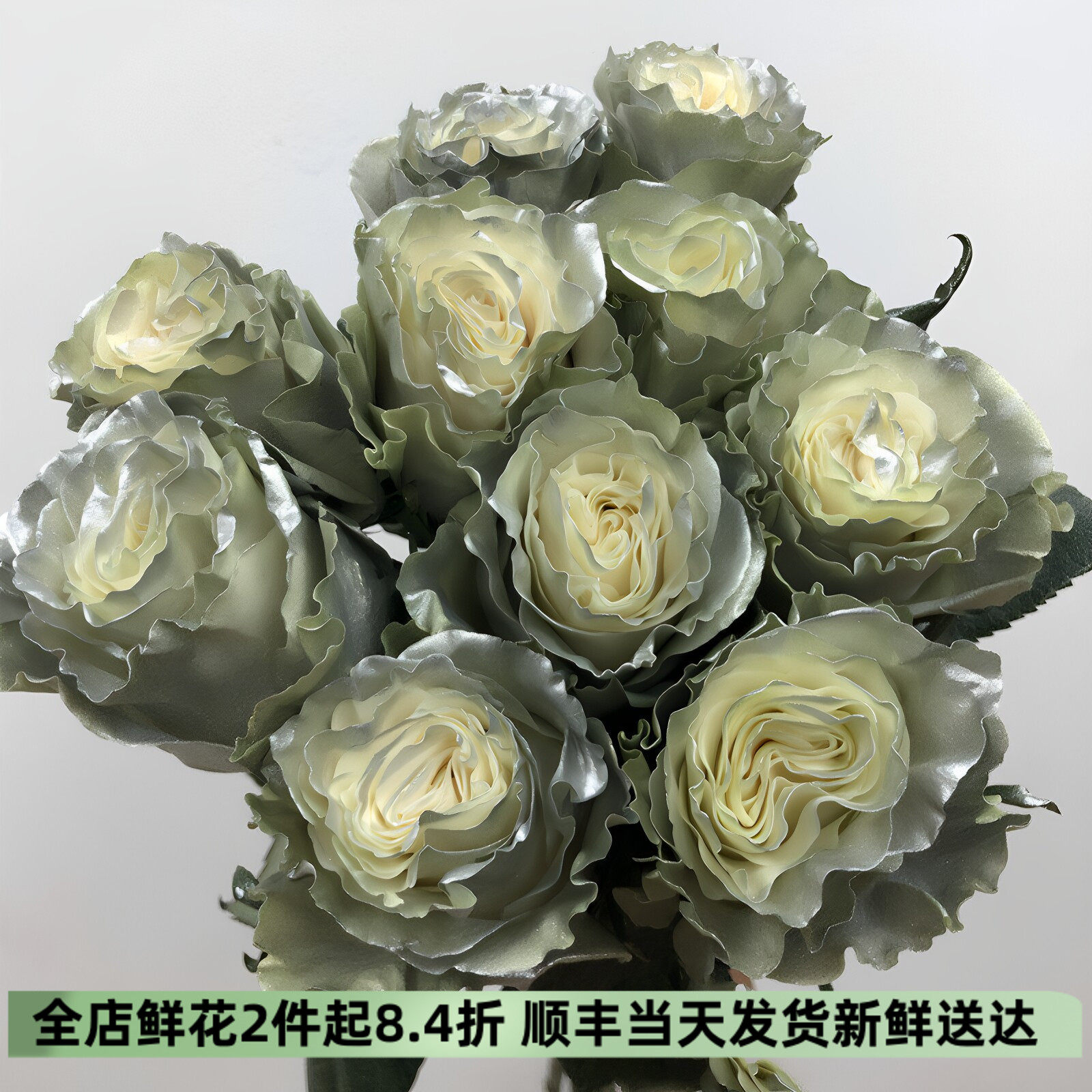 厄瓜多尔银空大玫瑰花鲜切花速递