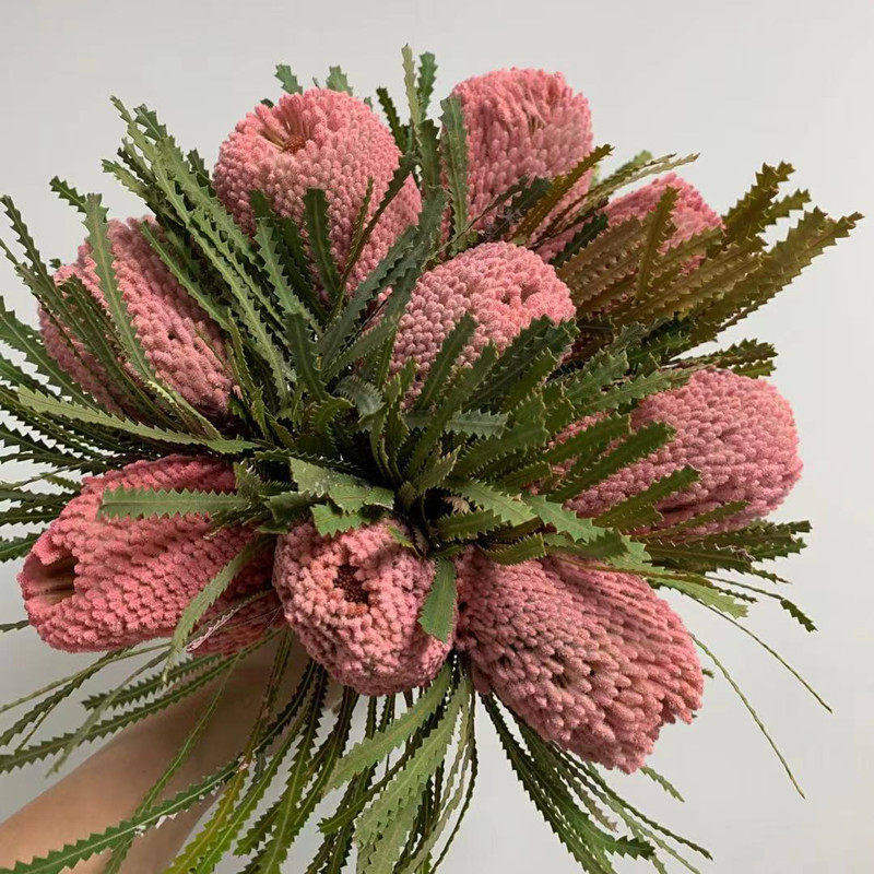 班克木佛塔花长期南非进口干花永生花插花家装饰北京同城鲜花速递